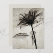 Big Vintage X-Ray Flower Mitteilungskarte (Vorne/Hinten)