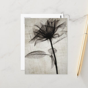 Big Vintage X-Ray Flower Postkarte