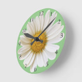 Big White Daisy auf Light Sage Green Runde Wanduhr (Winkel)