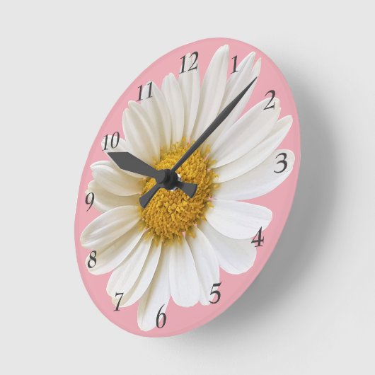 Big White Daisy auf rosa Hintergrund Runde Wanduhr (Winkel)