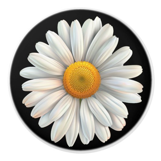 Big White Daisy auf schwarz Keramikknauf (Vorderseite)