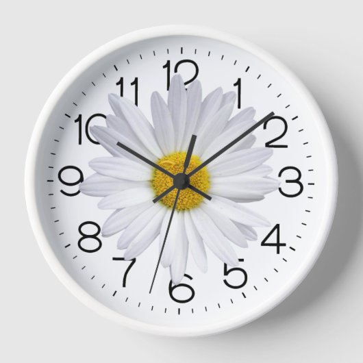 Big White Daisy auf Weiß Uhr (Vorderseite)