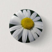 Big White Daisy Button (Vorderseite)