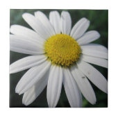 Big White Daisy Fliese (Vorderseite)