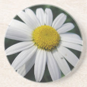 Big White Daisy Getränkeuntersetzer (Vorne)