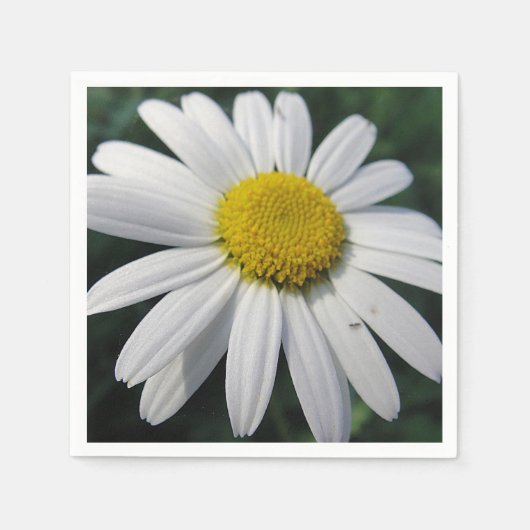 Big White Daisy Napkins Serviette (Vorderseite)