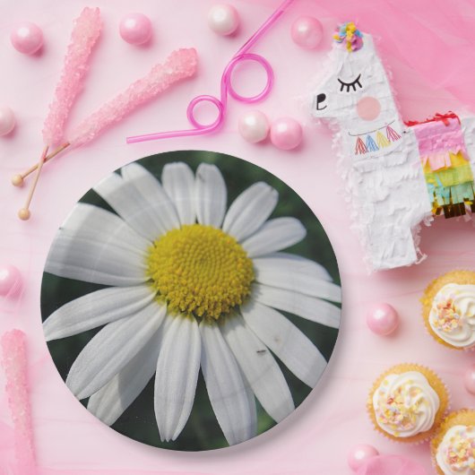 Big White Daisy Pappteller (Party)