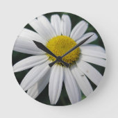 Big White Daisy   Runde Wanduhr (Vorderseite)