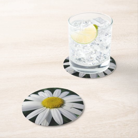 Big White Daisy Runder Pappuntersetzer (Vor Ort)