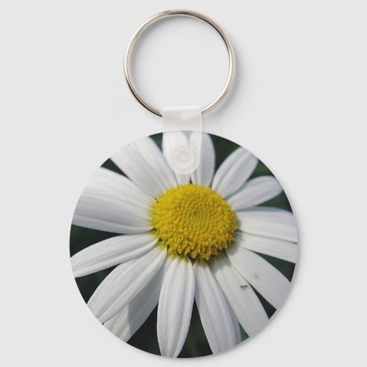 Big White Daisy Schlüsselanhänger (Vorderseite)