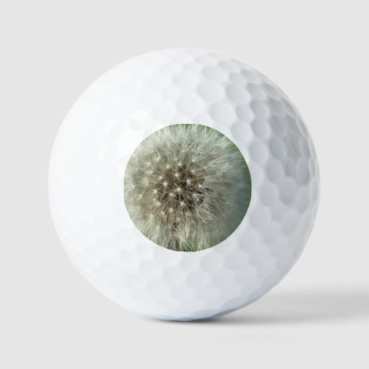 Big White Dandelion Golfball (Vorderseite)