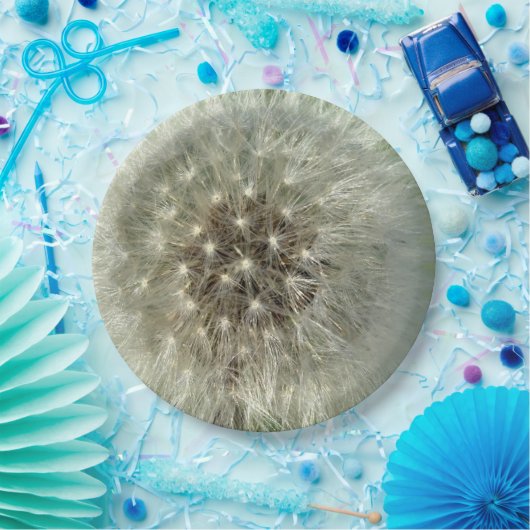 Big White Dandelion Pappteller (Party)