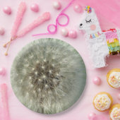 Big White Dandelion Pappteller (Party)
