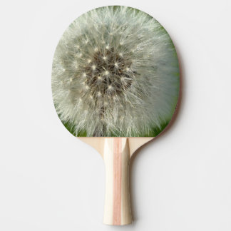 Big White Dandelion Tischtennis Schläger