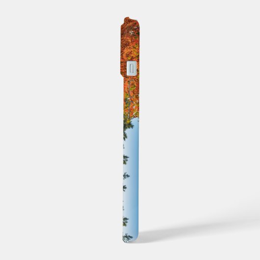 Big Whitetail Buck schlägt eine Pose iPhone 15 Hülle (Linke Seite)