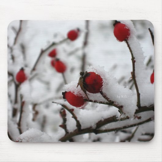 big_winter mousepad (Vorne)