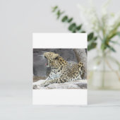 Big Yawn Postkarte (Stehend Vorderseite)