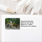 Big Yellow Bulldozer Traktor (Insitu)