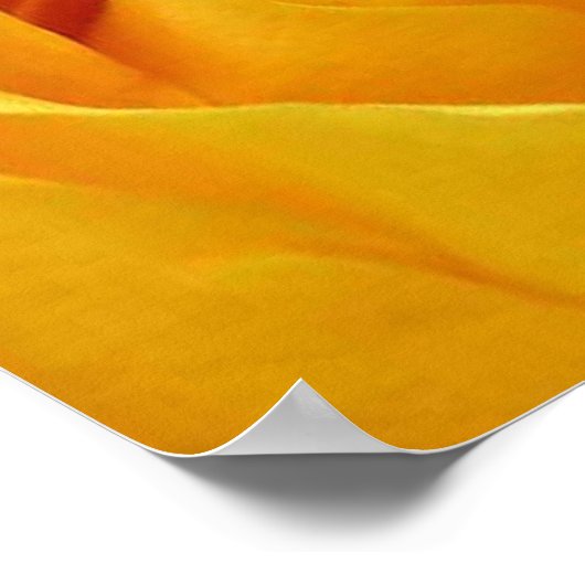 Big Yellow Rose Poster (Ecke)