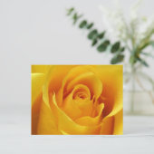 Big Yellow Rose Postkarte (Stehend Vorderseite)