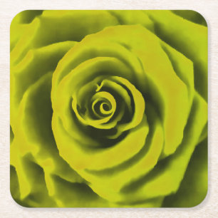 Big Yellow Rose Rechteckiger Pappuntersetzer