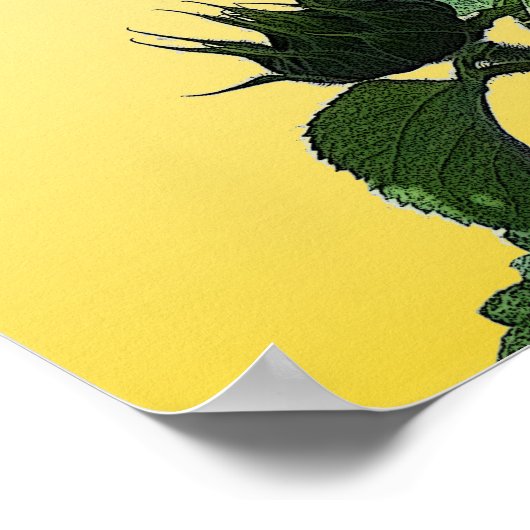 Big Yellow Sunflower Poster (Ecke)