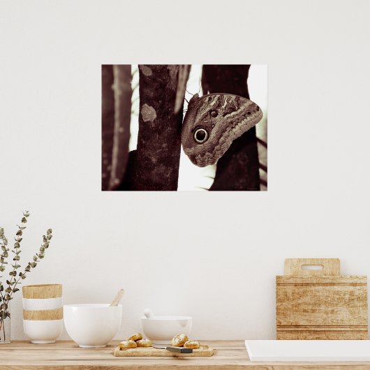 Bigbutterflyeye Poster (Küche)