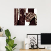 Bigbutterflyeye Poster (Heimbüro)