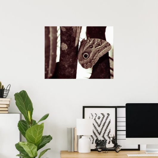 Bigbutterflyeye Poster (Heimbüro)