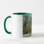 bigcats3 tasse (Links)