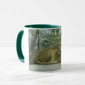 bigcats3 tasse (Vorderseite Links)