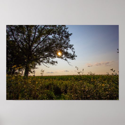 Bigelow Friedhof Staat Preserve, Ohio Poster (Vorne)