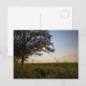 Bigelow Friedhof Staat Preserve, Ohio Postkarte (Vorne/Hinten)