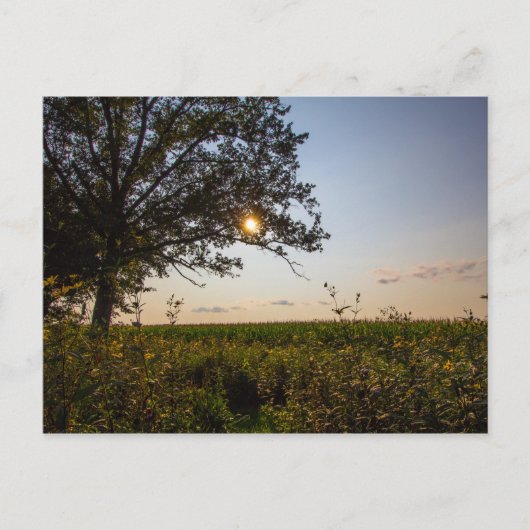 Bigelow Friedhof Staat Preserve, Ohio Postkarte (Vorderseite)