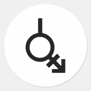 Bigender Androgyne und Neutrois-Geschlechtssymbol Runder Aufkleber