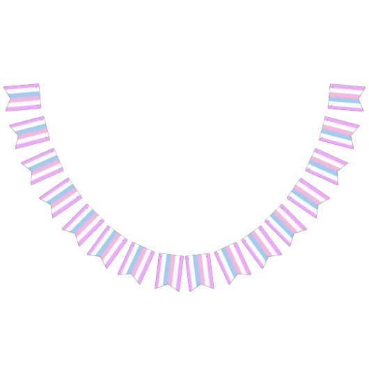 Bigender-Pride-Flag Wimpelkette (Alle)