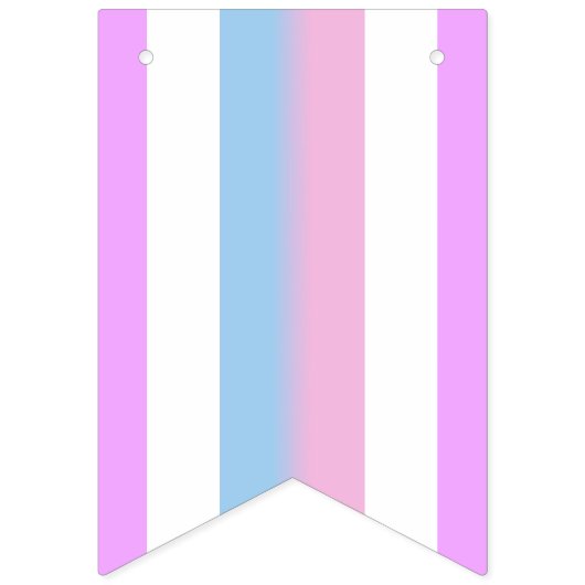 Bigender-Pride-Flag Wimpelkette (Erste Fahne)