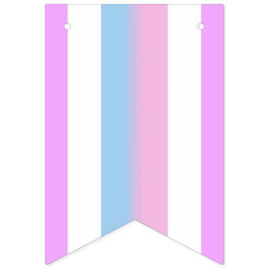 Bigender-Pride-Flag Wimpelkette (Dritte Fahne)