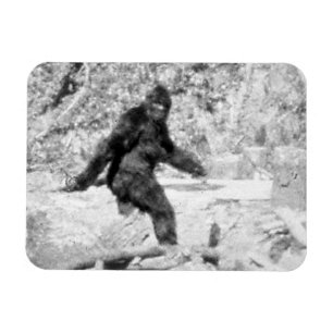 Bigfoot Magnet