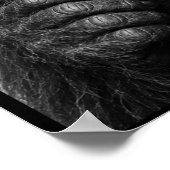 Bigfoot-Mugshot Poster (Ecke)