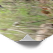 Bigfoot Poster (Ecke)