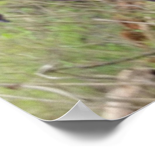 Bigfoot Poster (Ecke)