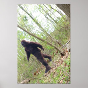 Bigfoot Poster