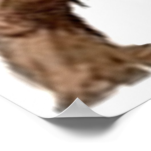 BIGFOOT POSTER (Ecke)