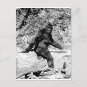 Bigfoot Postkarte