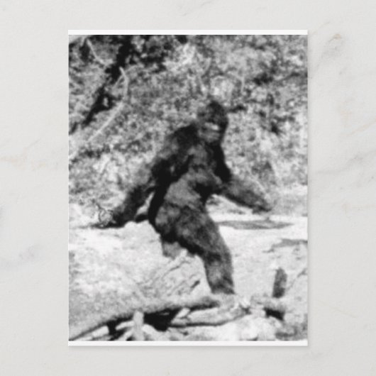 Bigfoot Postkarte (Vorderseite)