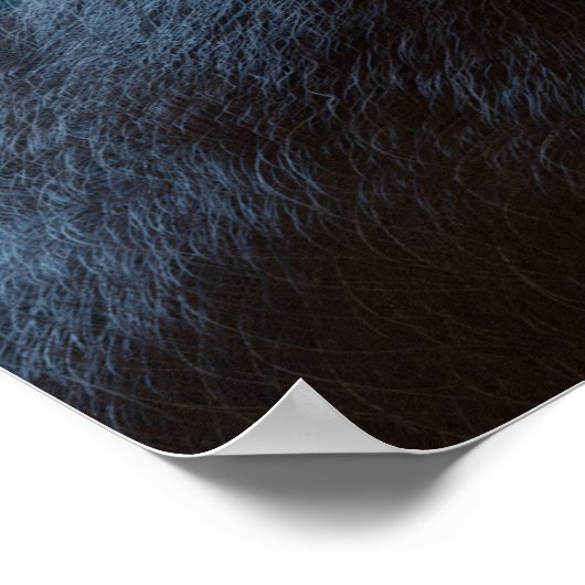 BIGFOOT SASQUATCH FACE PORTRATRATRATION III POSTER (Ecke)