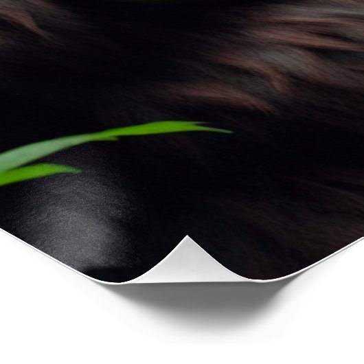 Bigfoot Sasquatch Fütternd Dragon Poster (Ecke)