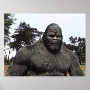 BIGFOOT SASQUATCH-PORTRAGIE POSTER