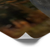 BIGFOOT SASQUATCH-PORTRAGIE POSTER (Ecke)